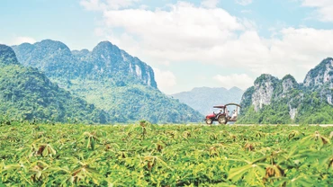 Thúc đẩy phát triển du lịch xanh,bền vững