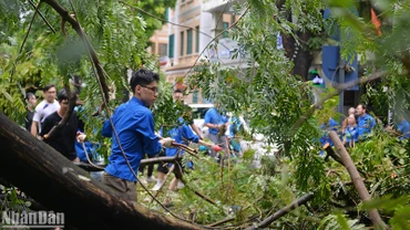 Đoàn viên, thanh niên quận Hoàn Kiếm tình nguyện hỗ trợ lực lượng chức năng khắc phục hậu quả của cơn bão số 3 (bão Yagi).