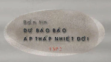 Bản tin dự báo bão, áp thấp nhiệt đới