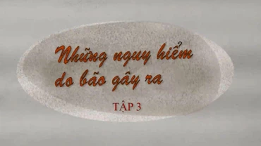 Những nguy hiểm do bão gây ra