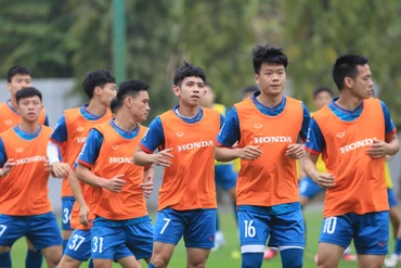 Các thành viên đội tuyển quốc gia. (Ảnh: VFF)