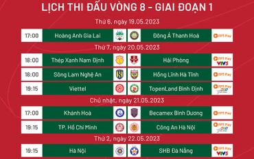 Lịch thi đấu vòng 8 V-League: Tâm điểm với Thanh Hóa gặp Hoàng Anh Gia Lai