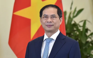 Bộ trưởng Ngoại giao Bùi Thanh Sơn. (Nguồn: TTXVN)