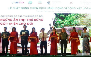 Khai mạc Triển lãm về Đa dạng sinh học. 
