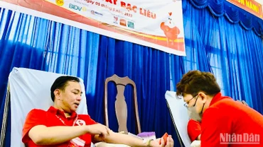 Bạc Liêu phấn đấu tiếp nhận hơn 2.000 đơn vị máu.