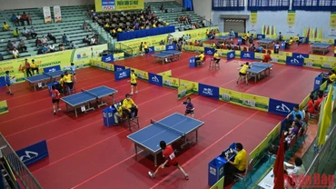 Giải vô địch bóng bàn quốc gia Báo Nhân Dân lần thứ 40 năm 2022 đã khép lại sau một tuần thi đấu sôi nổi, kịch tính. Giải đấu đã thành công tốt đẹp về cả công tác chuyên môn lẫn công tác tổ chức, để lại ấn tượng trong lòng người hâm mộ bóng bàn Gia Lai.