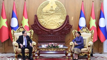 Chủ tịch Quốc hội Trần Thanh Mẫn gặp Phó Chủ tịch nước CHDCND Lào Pany Yathotou. (Ảnh: Thống Nhất/TTXVN)