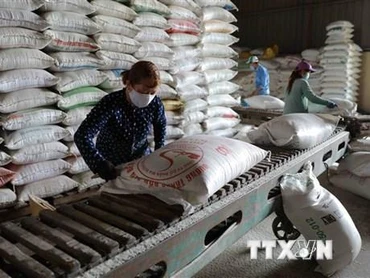 Gạo Việt Nam. (Ảnh: Vũ Sinh/TTXVN)