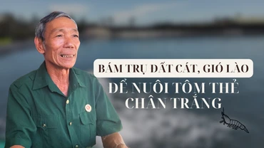 Bám trụ đất cát, gió Lào để nuôi tôm thẻ chân trắng