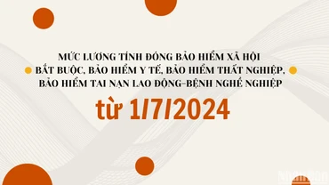 [Infographic] Mức lương tính đóng bảo hiểm xã hội bắt buộc, bảo hiểm y tế, bảo hiểm thất nghiệp từ 1/7/2024