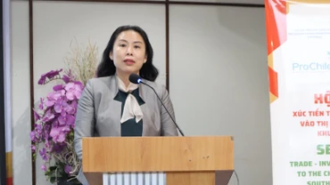 Bà Hồ Thị Quyên, Phó Giám đốc Trung tâm Xúc tiến Thương mại và Đầu tư Thành phố Hồ Chí Minh, phát biểu tại hội thảo.