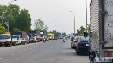 Sáng sớm 17/4, nhiều chủ phương tiện từ địa phương khác đến Đồng Tháp đỗ xe ngoài lộ để chờ đăng kiểm. (Ảnh: HỮU NGHĨA)