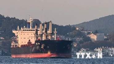 Tàu chở ngũ cốc của Ukraine di chuyển dọc Eo biển Bosphorus ở Istanbul, Thổ Nhĩ Kỳ, ngày 2/11/2022. (Ảnh: AFP/TTXVN)