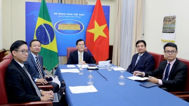 Phiên tham khảo chính trị cấp Thứ trưởng Ngoại giao lần thứ VIII bằng hình thức hội đàm trực tuyến.