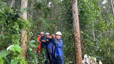 Các lực lượng EVN kéo dây sau bão để khôi phục lưới điện. 