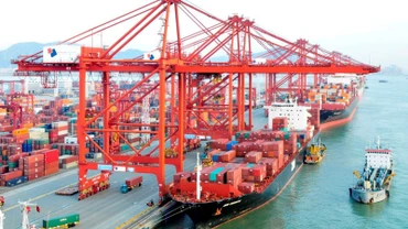 Cước vận tải tăng cao là một trong những khó khăn của doanh nghiệp thủy sản.