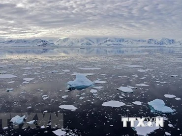 Băng trôi tại Vịnh Chiriguano, quần đảo Nam Shetland, Nam Cực, ngày 7/11/2019. (Ảnh: AFP/TTXVN)