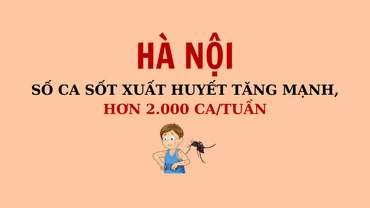 [Infographic] Số ca sốt xuất huyết tăng mạnh, hơn 2.000 ca/tuần
