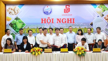 Đại diện Saigon Co.op ký kết hợp tác với các doanh nghiệp tỉnh Tây Ninh.