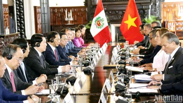 Chủ tịch nước Lương Cường hội đàm Tổng thống Dina Ercilia Boluarte Zegarra.