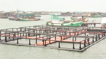 Mô hình nuôi cá trên biển bằng lồng nhựa HDPE.