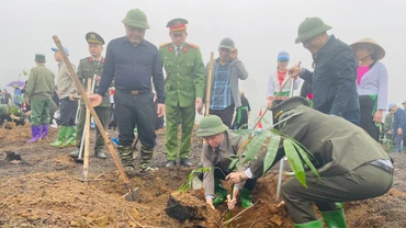 Đồng chí Đỗ Đức Duy, Ủy viên Trung ương, Bí thư Tỉnh ủy Yên Bái tham gia trồng tre măng Bát Độ. (Ảnh THANH SƠN)