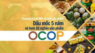 Dấu mốc 5 năm và hơn 10 nghìn sản phẩm OCOP 