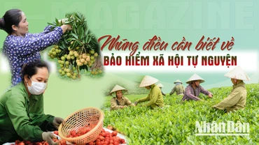 Những điều cần biết về bảo hiểm xã hội tự nguyện