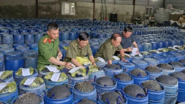 Các thùng giá đỗ ngâm hóa chất bị Công an tỉnh Nghệ An phát hiện, thu giữ. (Ảnh: Công an tỉnh Nghệ An)