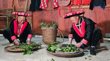 Bà con thực hiện công đoạn thái lá thuốc trước khi chế biến