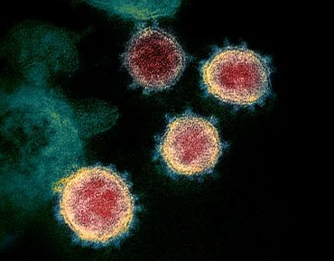 Ảnh minh họa: Virus SARS-CoV-2