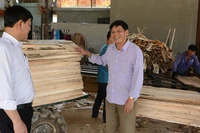 Ông Nguyễn Minh Tiến (bên phải) giới thiệu sản phẩm gỗ bóc tại xưởng chế biến gỗ rừng trồng.