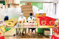 Chế biến hạt điều tại Công ty TNHH Vinahe (thị xã Phước Long, Bình Phước).