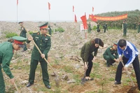 Cán bộ, chiến sĩ Tiểu đoàn đảo Bạch Long Vĩ phối hợp chính quyền và nhân dân trên đảo thực hiện công trình "Vì màu xanh đảo tiền tiêu".