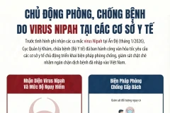Chủ động phòng, chống bệnh do virus Nipah tại các cơ sở y tế