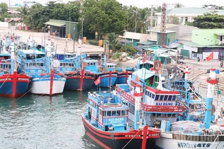 Tàu cá của ngư dân phường Ninh Chử (Khánh Hòa) được hướng dẫn cập cảng an toàn để tránh trú bão. (Ảnh: NGUYỄN TRUNG)