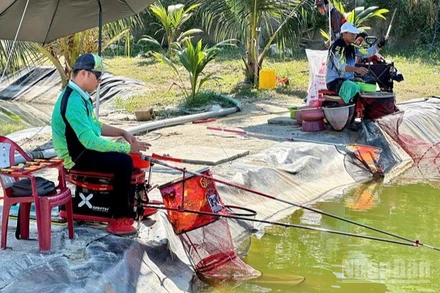 Nhiều người yêu thích câu cá để giải trí tìm đến khu câu cá Quốc Cường ngày càng đông. (Ảnh: NGUYỄN TRUNG)