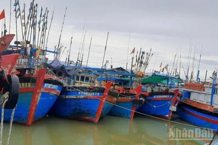 Vùng neo đậu tàu tại cảng cá Đông Hải, tỉnh Khánh Hòa, đã thu hẹp nhiều do bị cát đất bồi lắng nhiều năm qua. (Ảnh: NGUYỄN TRUNG)