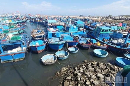 Một góc cảng cá Mỹ Tân, tỉnh Khánh Hòa. (Ảnh: NGUYỄN TRUNG)