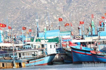 Tàu cá của ngư dân xã Cà Ná (Khánh Hòa) neo đậu an toàn, chuẩn bị cho việc sửa chữa. (Ảnh: NGUYỄN TRUNG)