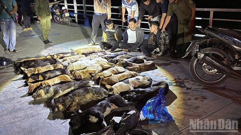 Tang vật được phát hiện trong đêm của các đối tượng trộm chó.