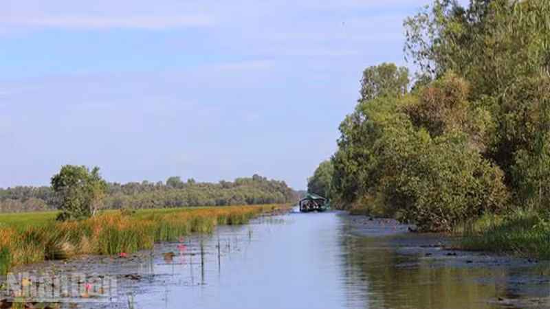 Vườn quốc gia Tràm Chim khoác chiếc áo mới vào mùa nước nổi.