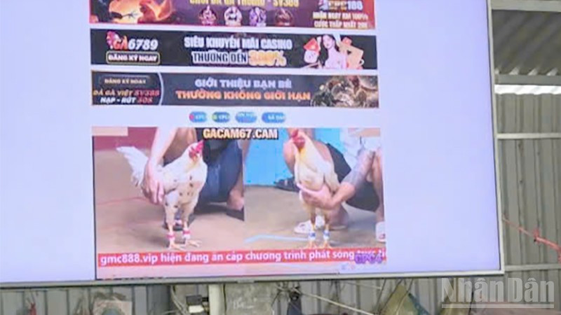 Tang vật dùng để phát trực tuyến các trận đá gà.