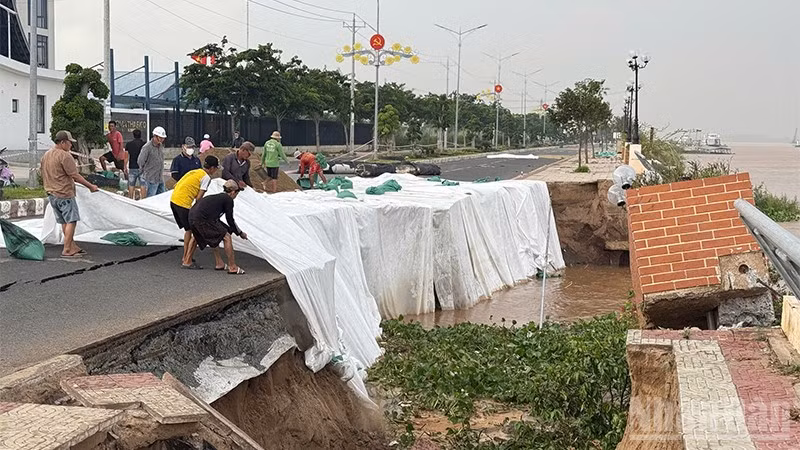 Khắc phục tạm thời vụ sạt lở tại công trình kè Thường Thới Tiền.