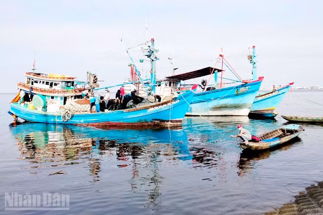 Tàu đánh bắt thủy sản neo đậu ở phường Rạch Giá, tỉnh An Giang.
