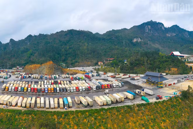 Khu vực kho bến bãi của Công ty Cổ phần Hữu nghị Xuân Cương.