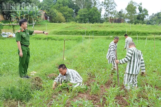 Phạm nhân tại Trại tạm giam Công an tỉnh Lạng Sơn trong giờ lao động.