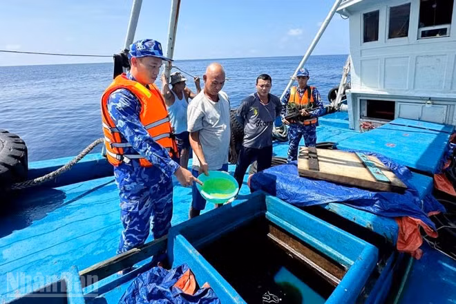 Lực lượng chức năng Bộ Tư lệnh Vùng Cảnh sát biển 4 kiểm tra hàng hóa trên tàu ĐT 93734 TS.