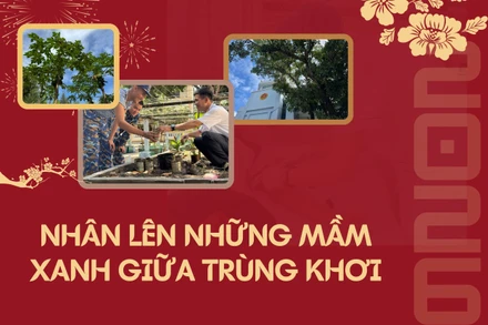Nhân lên những mầm xanh giữa trùng khơi