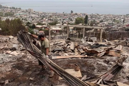 Người dân dọn dẹp khu vực bị ảnh hưởng bởi hỏa hoạn ở Penco, Biobio, Chile, ngày 19/1/2026. (Ảnh: Xinhua)